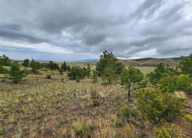 Property at 261 Thrush Ln, Hartsel, CO 80449