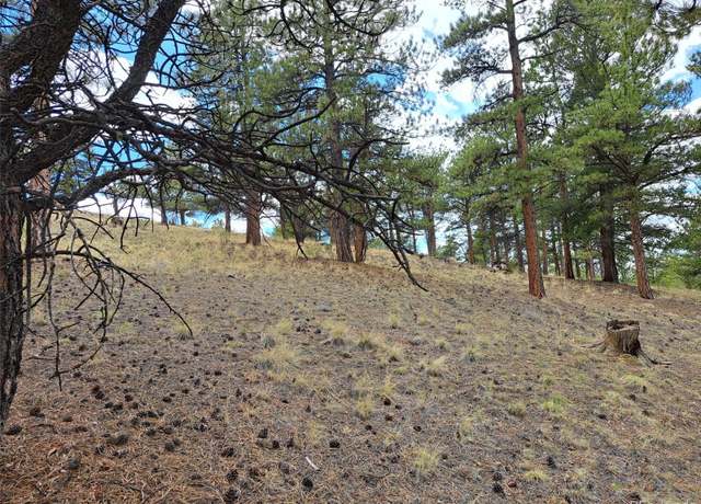 Property at 0 Spring St, Hartsel, CO 80449