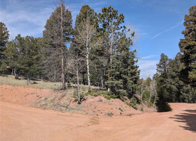 Property at 971 Spring Valley Ln, Florissant, CO 80816