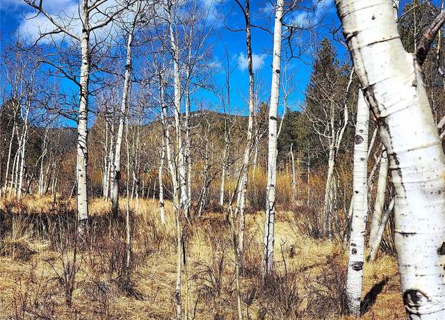 Property at 144 Gray St, Bailey, CO 80421