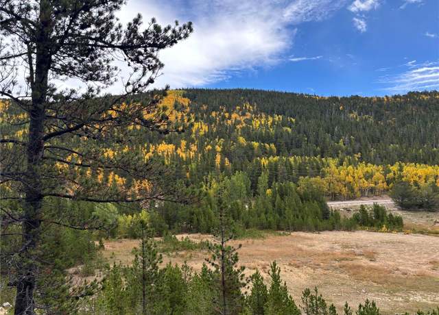 Property at Silver Creek Rd, Idaho Springs, CO 80452