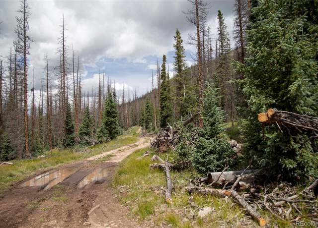 Property at Tbd Forest Rd 503, Creede, CO 81130