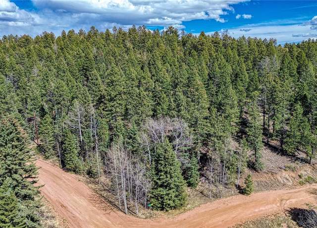Property at 3075 N Mountain Estates Rd, Florissant, CO 80816