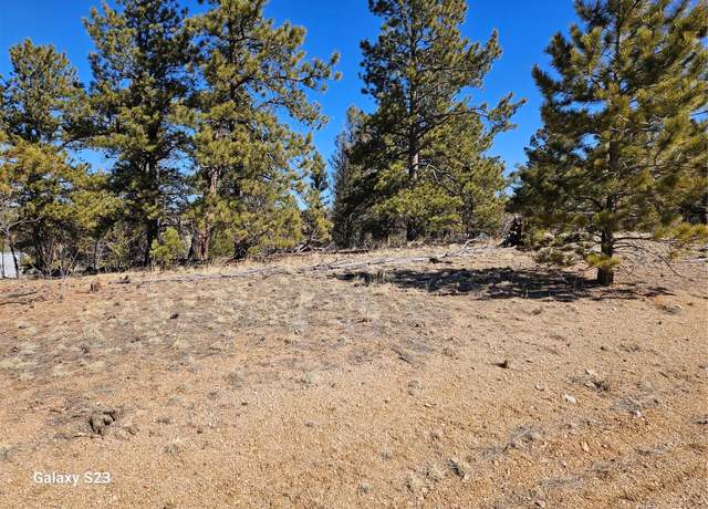 Property at 825 Frees Loop, Hartsel, CO 80449