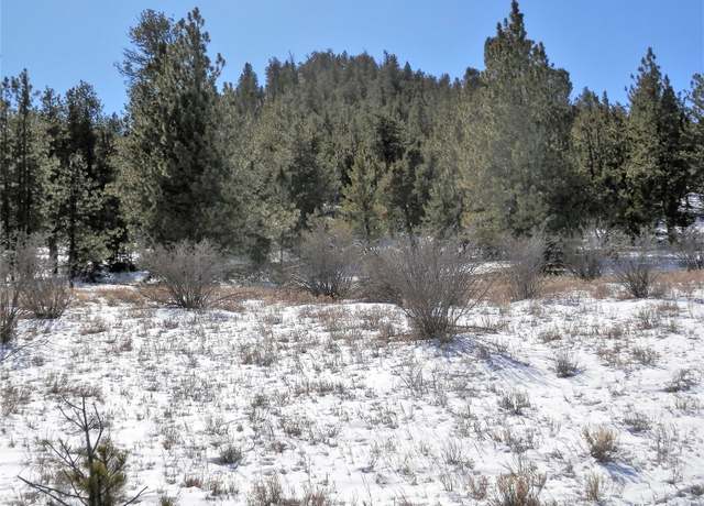 Property at Lot 29 Chickadee Dr, Hartsel, CO 80449