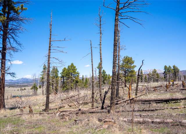 Property at 999 Foy Pl, Fort Garland, CO 81133