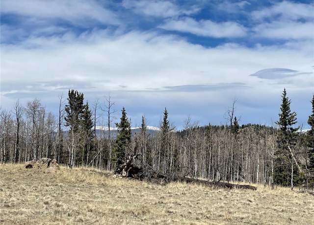 Property at 400 Vulture Ln, Como, CO 80432