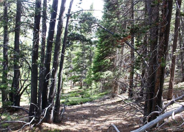 Property at Group 2-3 Lamartine Rd, Idaho Springs, CO 80452
