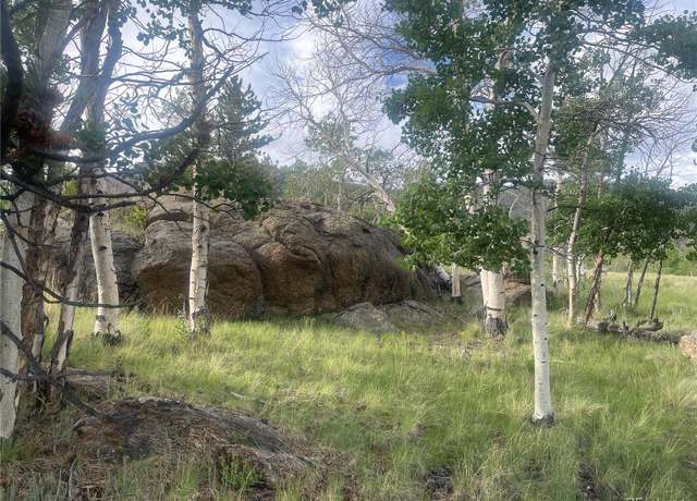 Property at 170 Emerald Way, Lake George, CO 80827