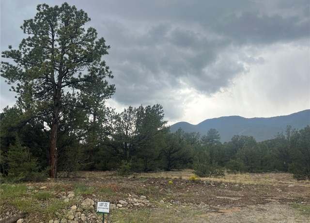 Property at 28933 Timber Rdg, Buena Vista, CO 81211