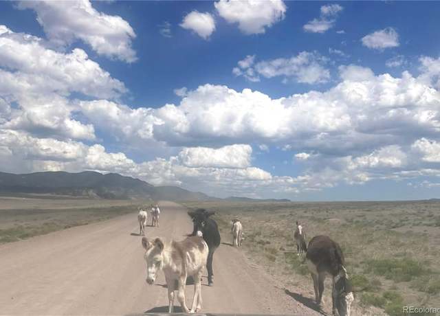 Property at Parrot Dr, Alamosa, CO 81101