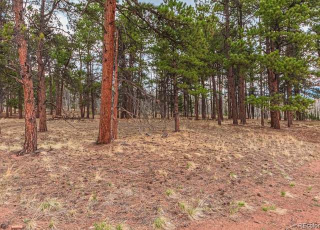Property at 1290 Firestone Dr, Woodland Park, CO 80863