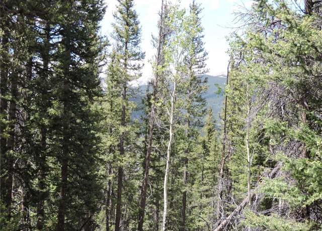 Property at 00 Georgia Pass Lookout, Jefferson, CO 80456