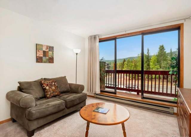 Property at 99 Granite #217, Frisco, CO 80443, 1 bath