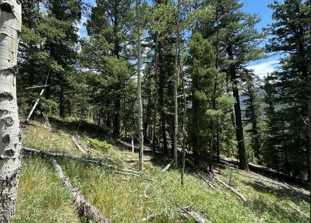 Property at Tbd Calkins, Jasper, CO 81146