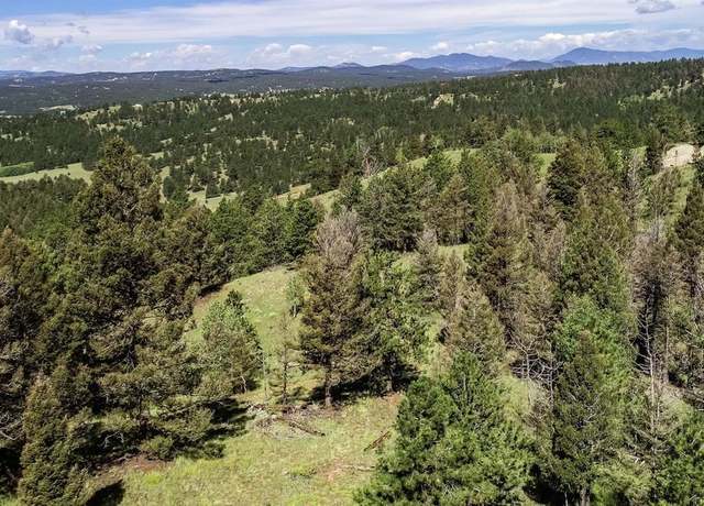 Property at 235 Hay Creek Rd, Florissant, CO 80816