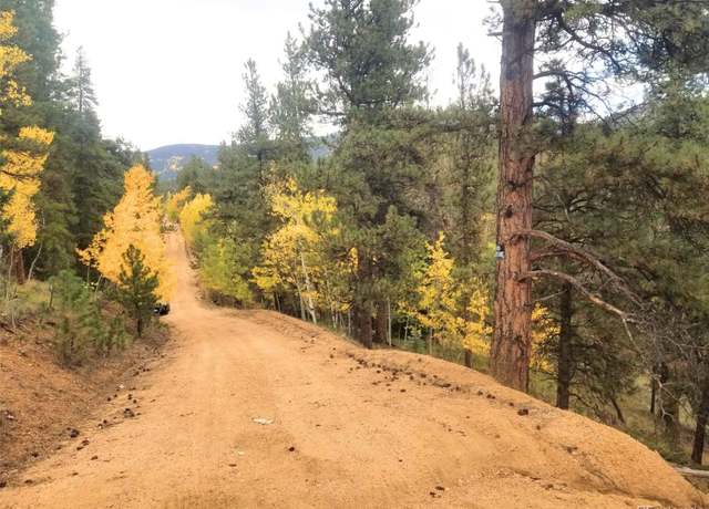 Property at 342 & 366 Brown St, Bailey, CO 80421
