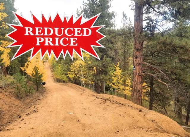 Property at 342 & 366 Brown St, Bailey, CO 80421