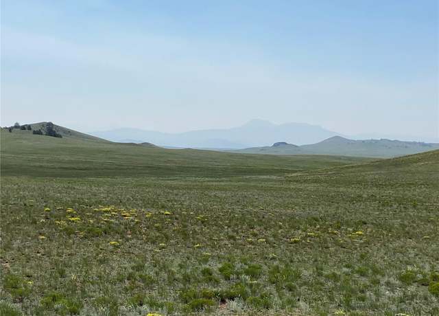 Property at 1166 Chicha Rd, Hartsel, CO 80449