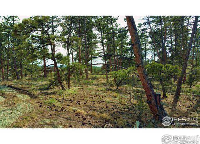 Property at 3000 Fox Acres Dr E, Red Feather Lakes, CO 80545