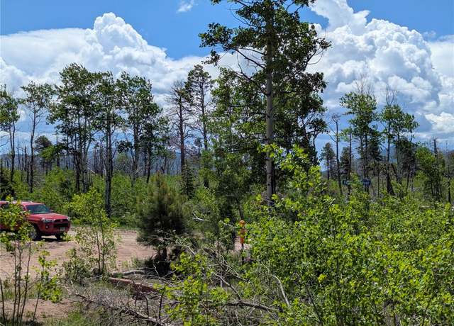 Property at 925 Forbes Park Rd, Fort Garland, CO 81133