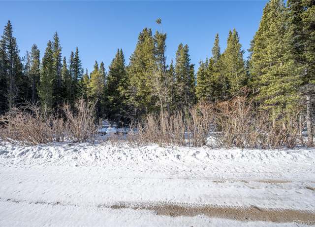 Property at 112 Deer Rd, Idaho Springs, CO 80452