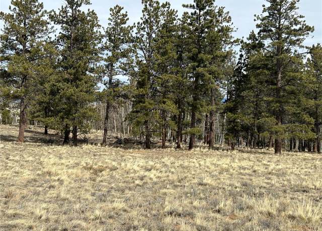 Property at 788 Wagon Wheel Rd, Hartsel, CO 80449