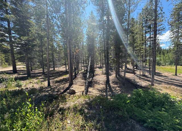 Property at 334 Baby Doe Dr, Leadville, CO 80461
