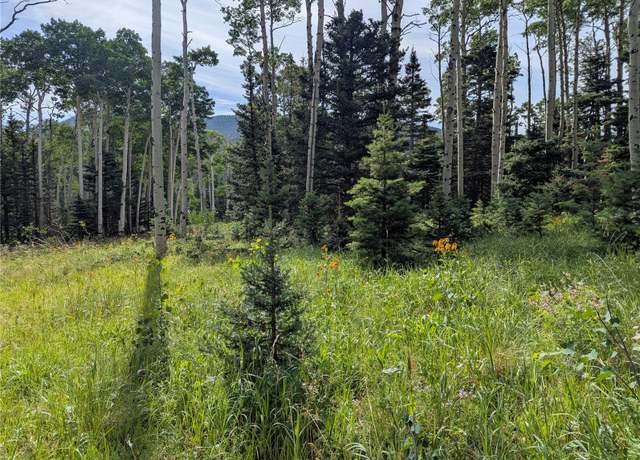 Property at 3079 Henderson Dr, Fort Garland, CO 81133