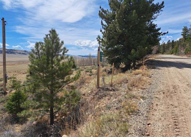 Property at 3088 Redhill Rd, Fairplay, CO 80440