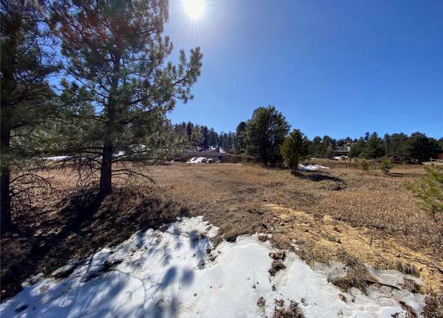 Property at 174 Chickadee Dr, Bailey, CO 80421