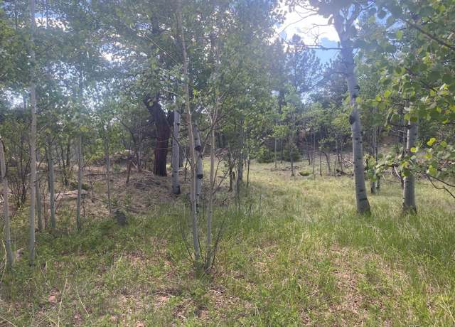 Property at 94 & 146 Cr-403, Florissant, CO 80816