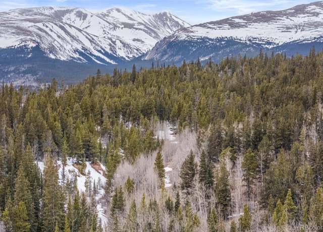 Property at 000 Beaver Creek Rd, Alma, CO 80420