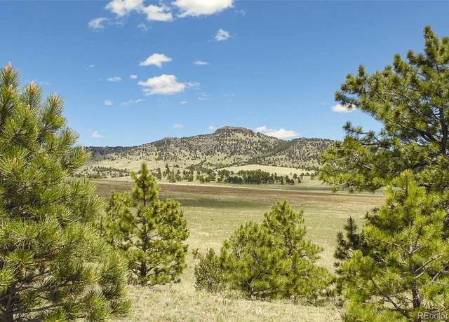 Property at 129 Eagle Nest Trl, Guffey, CO 80820