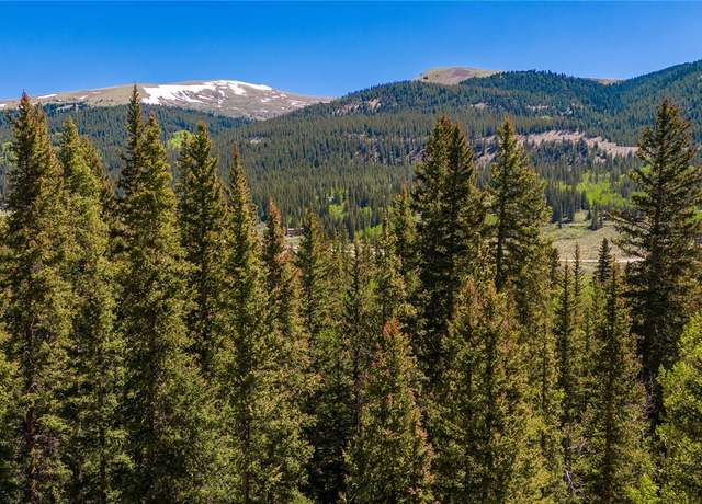 Property at 797 Peterson Dr, Fairplay, CO 80440