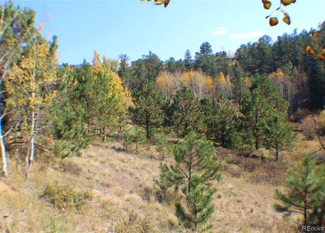 Property at 2020 Shelton Dr, Bailey, CO 80421