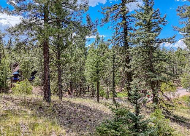 Property at 18 Falcon Cir, Florissant, CO 80816