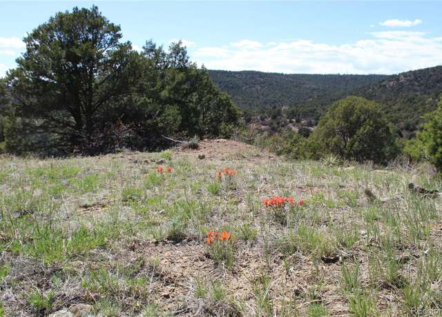 Property at TBD. Picketwire Rd, Trinidad, CO 81082
