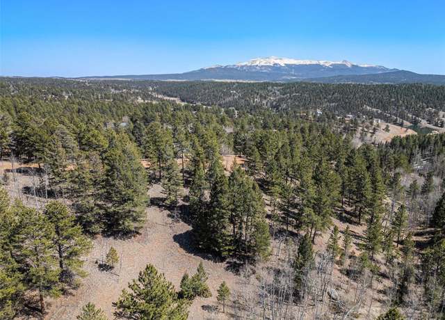 Property at 131 Lost Lake Cir, Divide, CO 80814