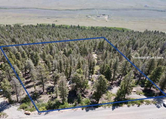 Property at 1720 Middle Fork Vis, Fairplay, CO 80440