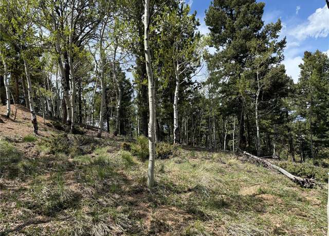 Property at 62 Hadatsa Ln, Woodland Park, CO 80863
