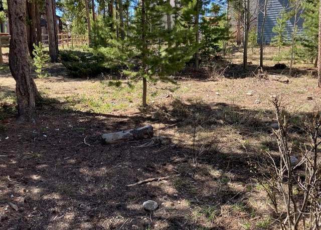 Property at 870 Ferret Ln, Fraser, CO 80442