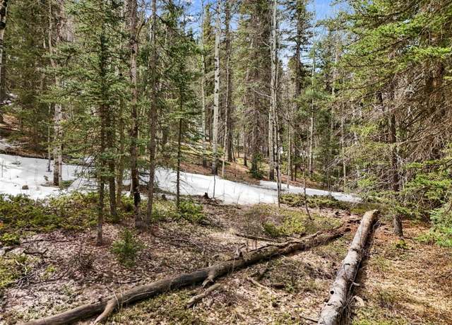 Property at 464 E Bison Creek Trl, Florissant, CO 80816