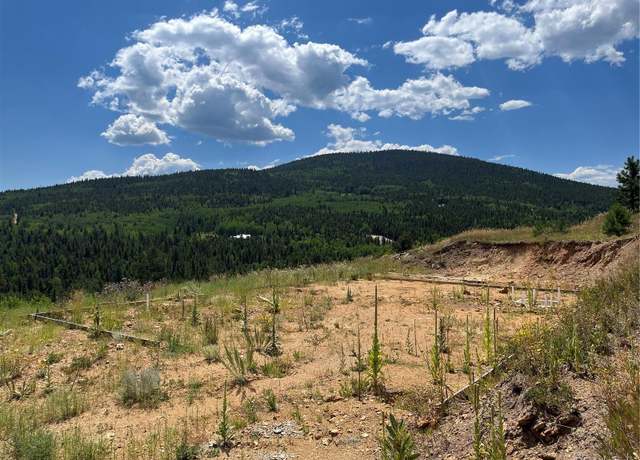 Property at 795 Russell Gulch Rd, Central City, CO 80427