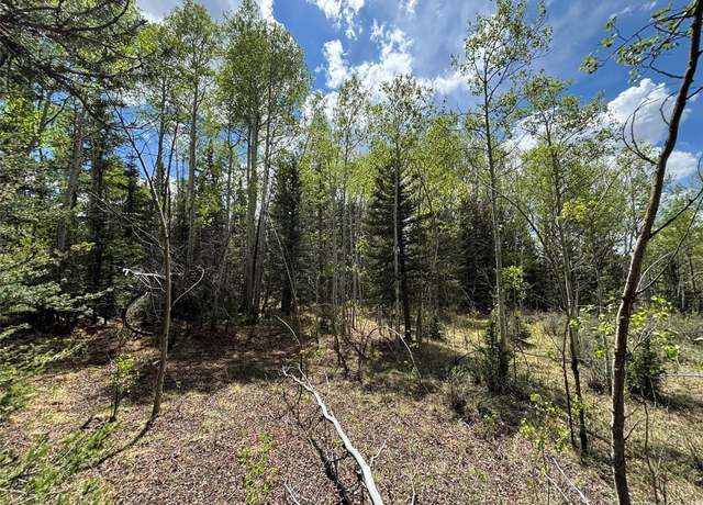 Property at 113 Ithaca Ln, Como, CO 80432