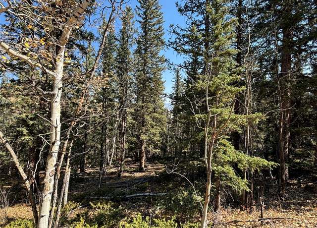 Property at 00 Boreas Cir, Jefferson, CO 80456