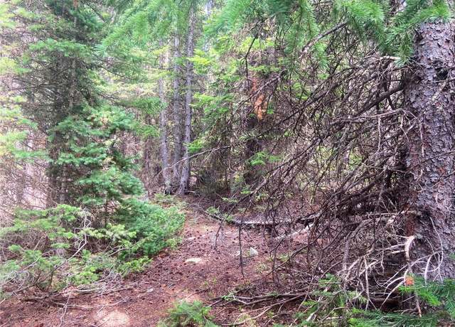 Property at 00 FS 413.1, Black Hawk, CO 80422