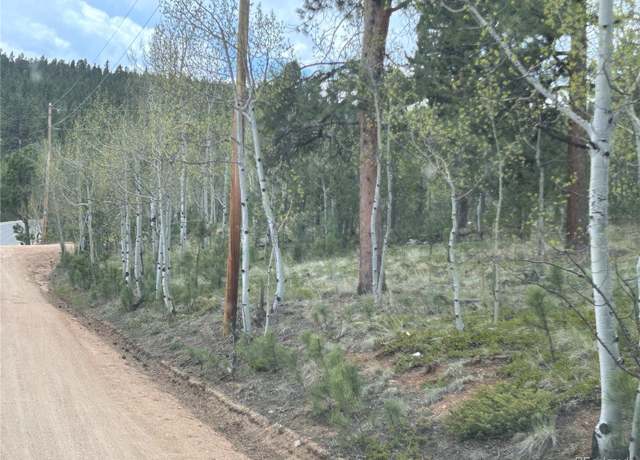 Property at 139 Obrien Rd, Bailey, CO 80421