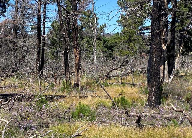 Property at 2169 Hayden Ln, Fort Garland, CO 81133