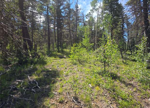 Property at 5769 Balleroy Rd, Fort Garland, CO 81133